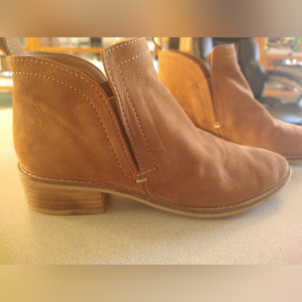 Dolce Vita booties